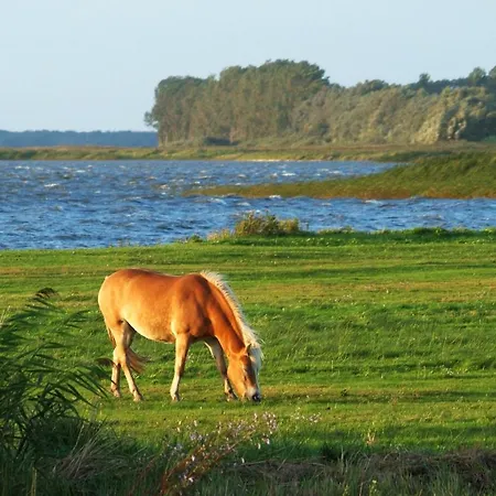 Ferienapartment Duenensand Direkt Am Kurstrand Lägenhet *